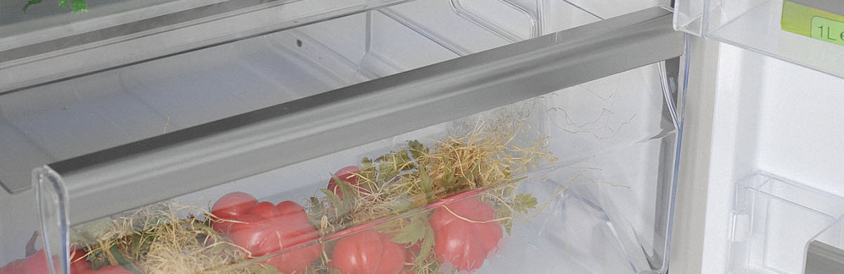 FRIGO SERVIS PODGORICA